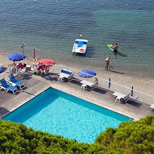 Hotel Mayola Mhotelsgroup